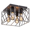 Rabalux Borooo, mat crna metalna plafonska lampa, E27 4x25W IP20 109