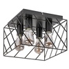 Borooo, mat crna metalna plafonska lampa, E27 4x25W IP20 108