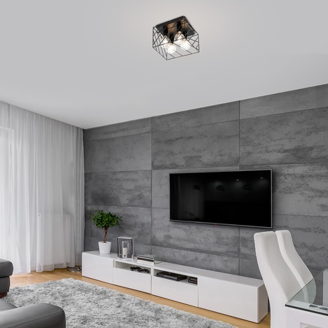 Borooo, mat crna metalna plafonska lampa, E27 4x25W IP20 112